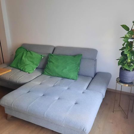 Schone Wohnung In Der Grazer Innenstadt Экстерьер фото