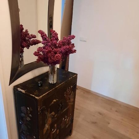 Schone Wohnung In Der Grazer Innenstadt Экстерьер фото