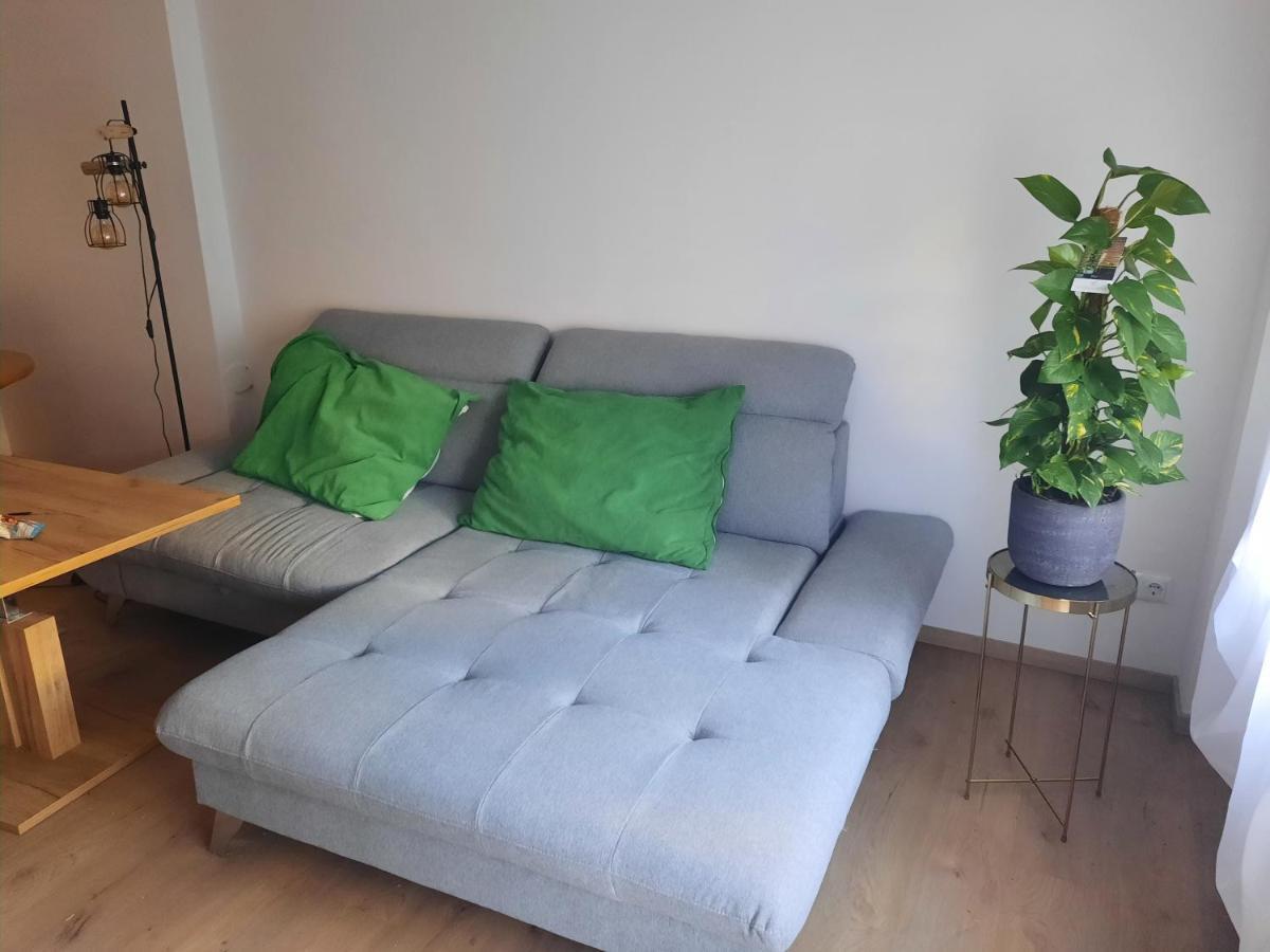 Schone Wohnung In Der Grazer Innenstadt Экстерьер фото