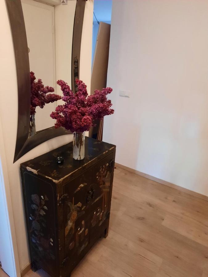 Schone Wohnung In Der Grazer Innenstadt Экстерьер фото